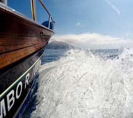 Capri Blue Boats