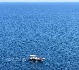 Capri Blue Boats